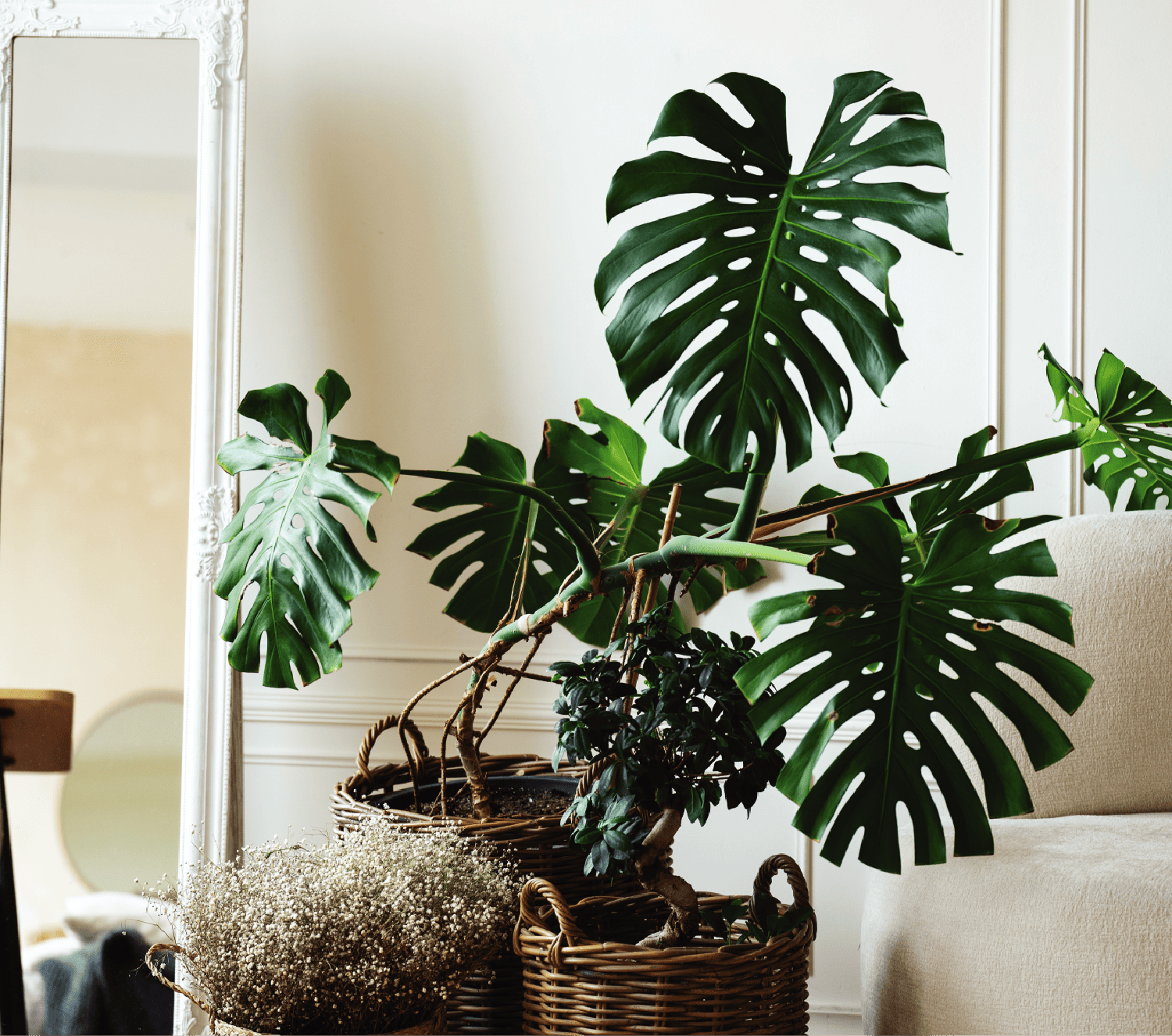 DL Lim Garden | Home